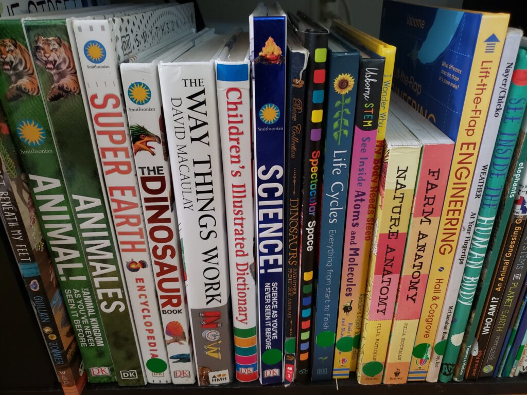 How To Organize Homeschool Books